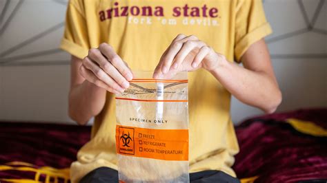 sun devil drop off covid test|Contactless COVID.